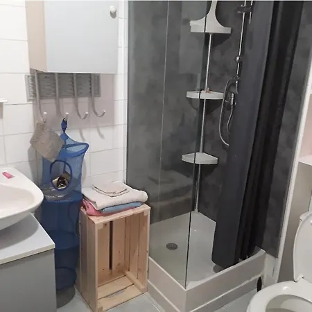 Grand Sur Jardin Beaujoire B Apartment Nantes