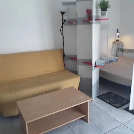 Grand Sur Jardin Beaujoire B *