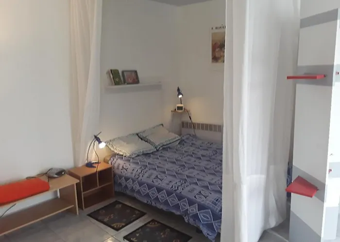 Grand Sur Jardin Beaujoire B Nantes